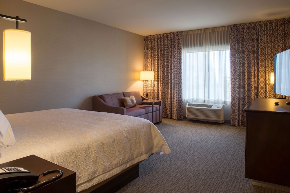 Room, 1 King Bed with Sofa bed, Refrigerator & Microwave photo 2