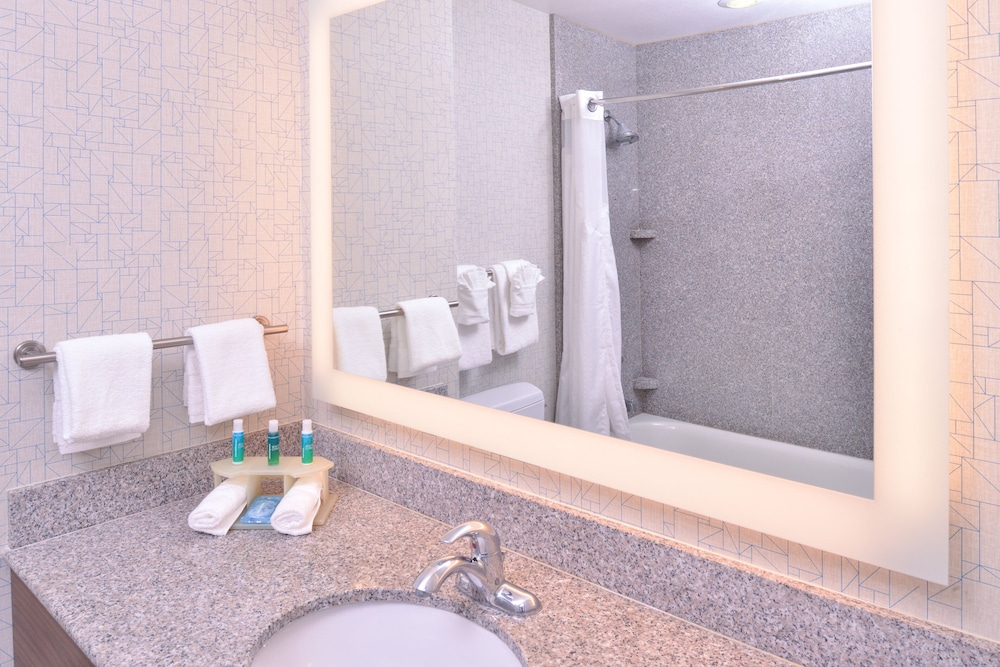 Room, 1 King Bed, Accessible (Roll-In Shower) - Photo 6