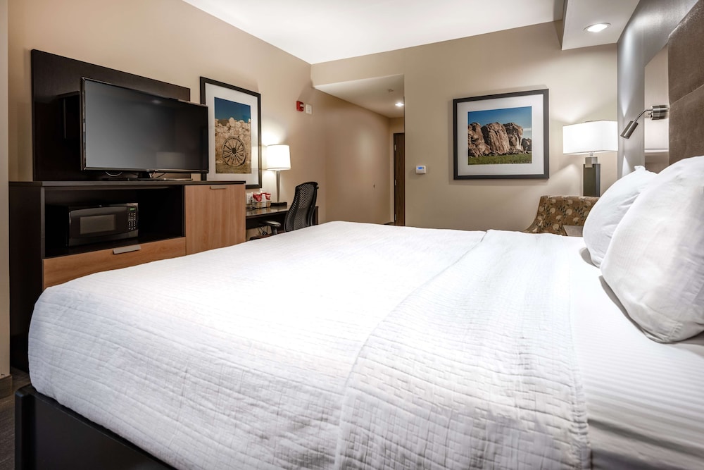 Standard Room, 1 King Bed, Non Smoking, Refrigerator & Microwave photo 2