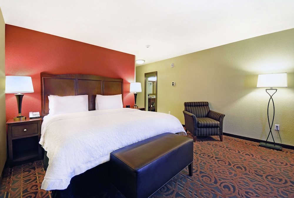 Room, 1 King Bed, Non Smoking, Refrigerator & Microwave photo 2