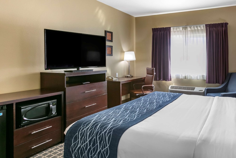 Business Room, 1 King Bed, Refrigerator & Microwave, Mountain View photo 2