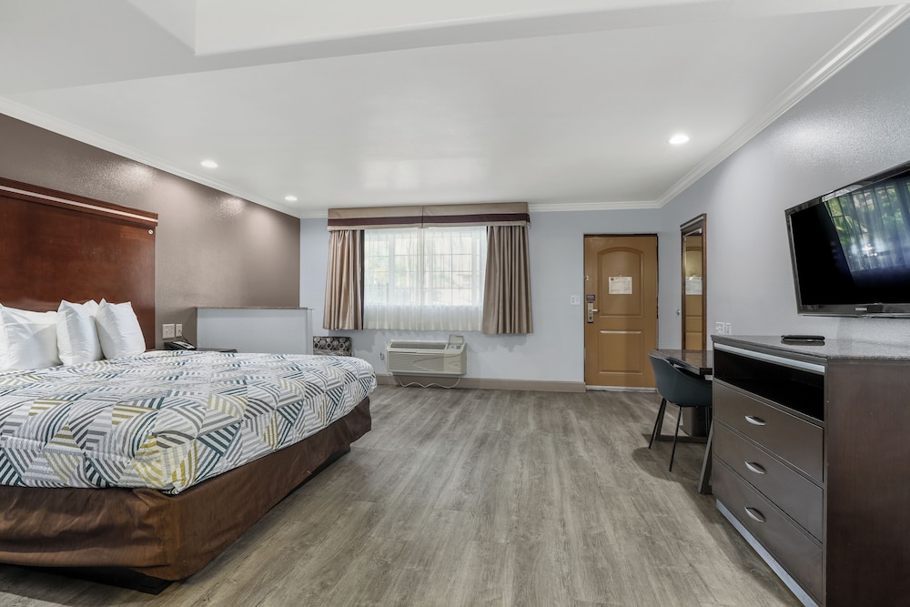 Deluxe Suite, 1 King Bed, Non Smoking, Refrigerator & Microwave - Photo 4