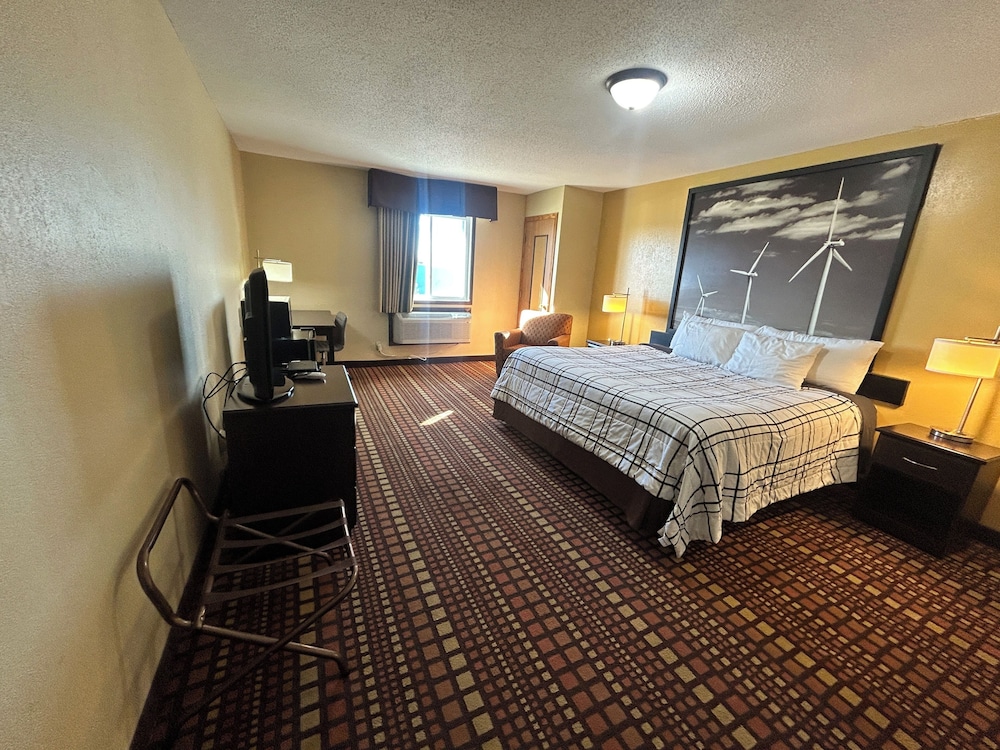 Room, 1 King Bed, Non Smoking