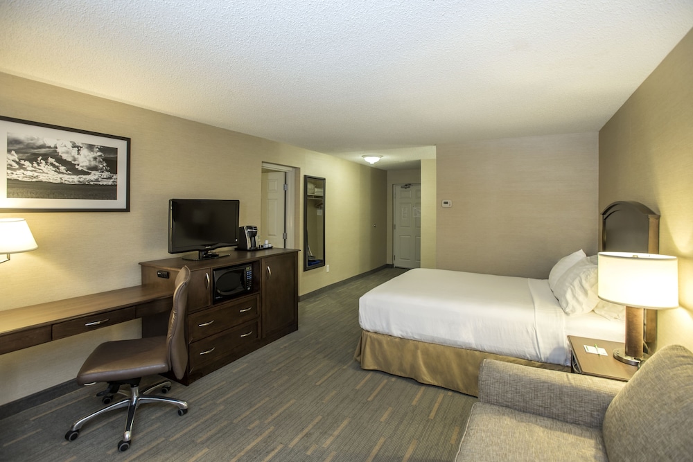 Suite, 1 Bedroom photo 2