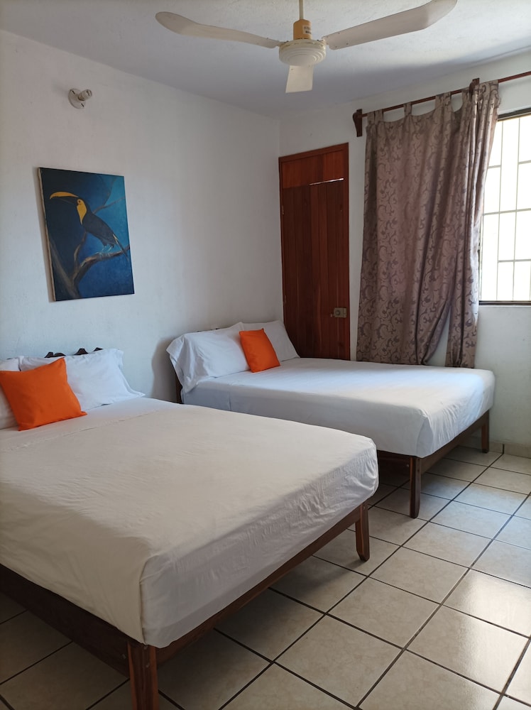 Basic Double Room