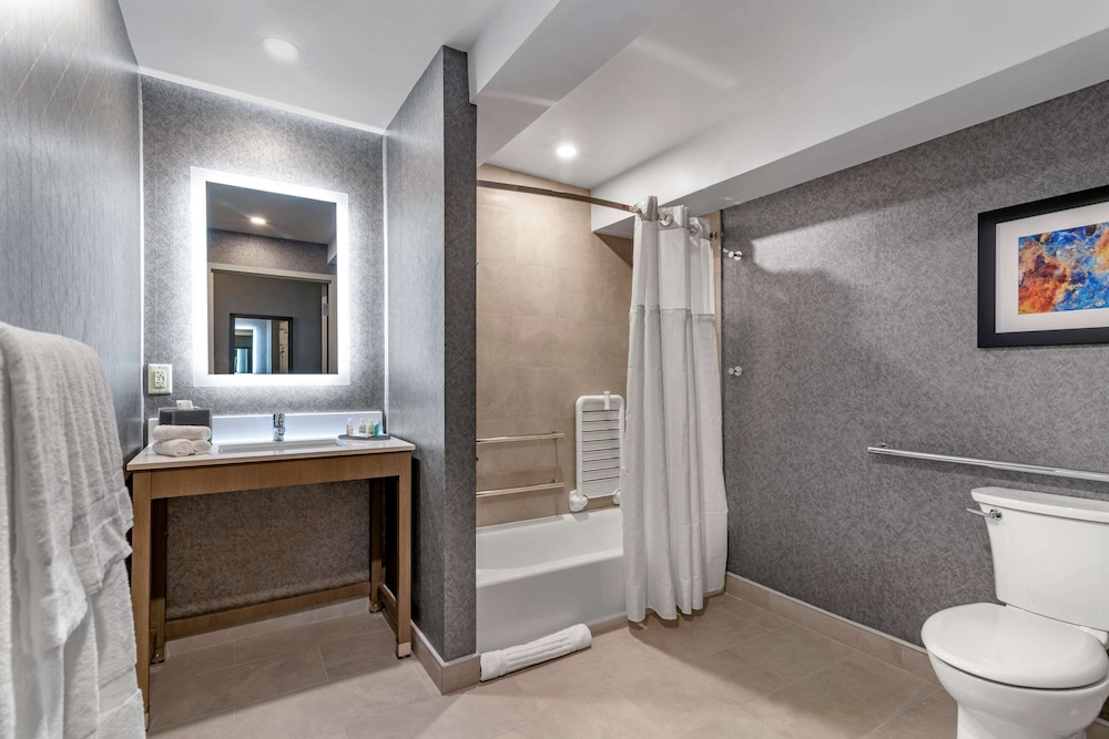 Room, 1 King Bed, Non Smoking (Roll-In Shower)