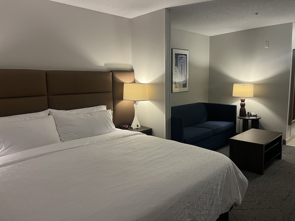Suite, 1 King Bed - Photo 4
