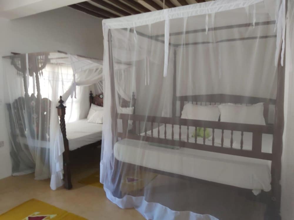 Room, Terrace photo 1