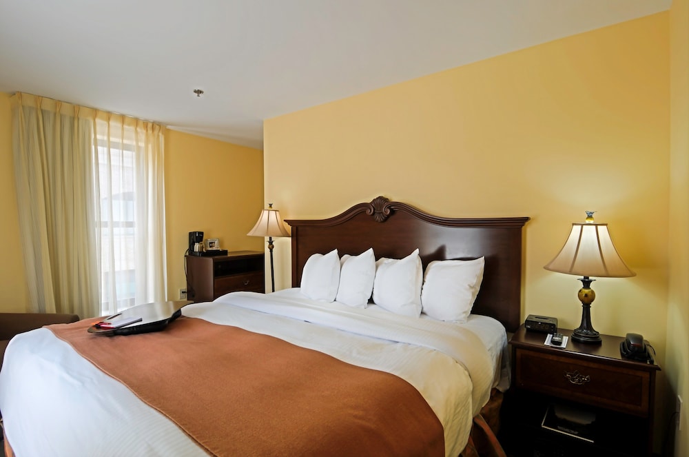 Suite, 1 Queen Bed with Sofa bed photo 1