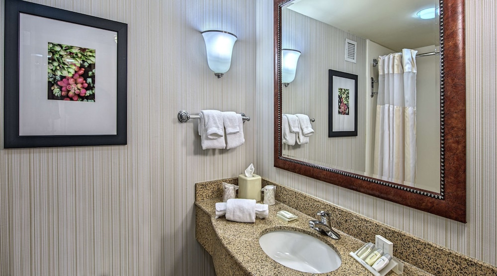 One king evolution jr suite photo 2