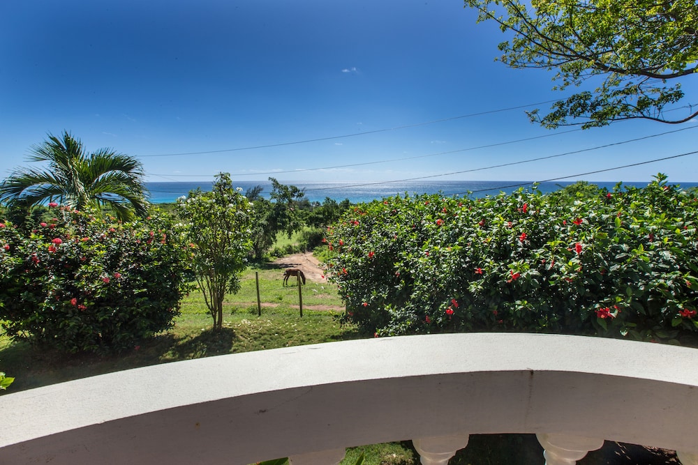 Romantic Suite, 1 Bedroom, Patio, Ocean View (Caribbean Deluxe Suites) photo 2