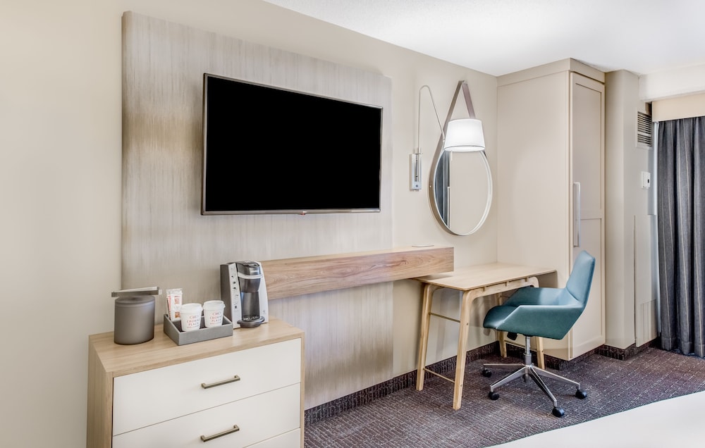 Suite, 1 Bedroom - Photo 2