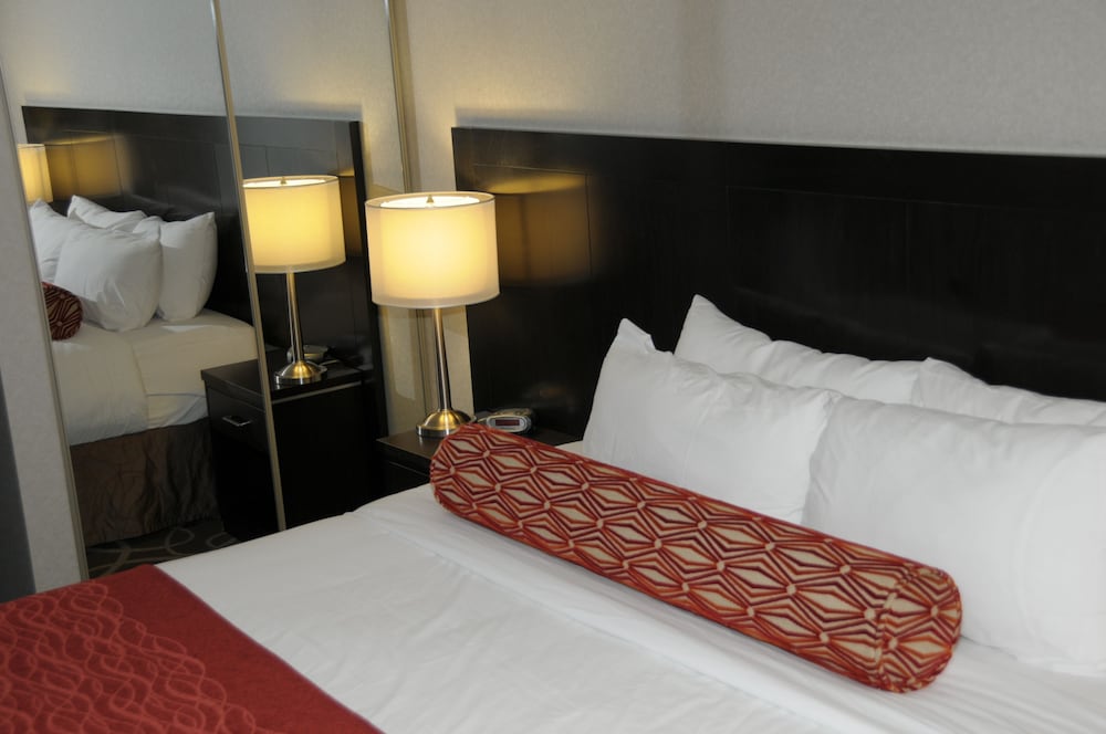 Room, 1 Queen Bed photo 3