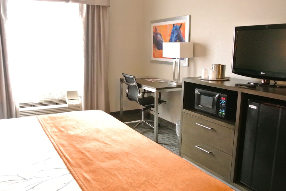 Premium Room, 1 King Bed - Photo 5