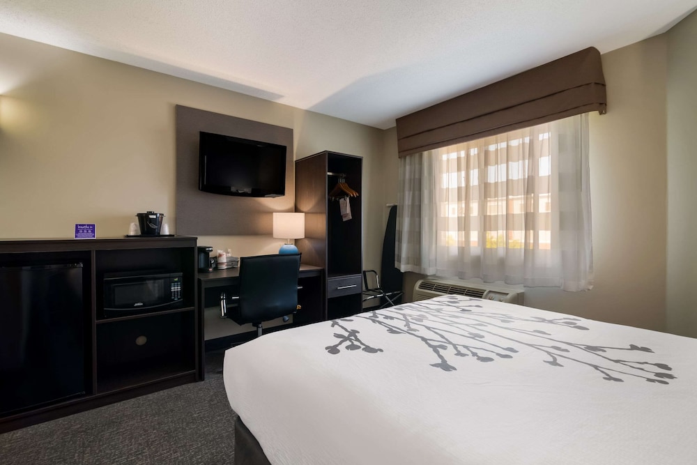 Standard Room, 1 Queen Bed photo 3