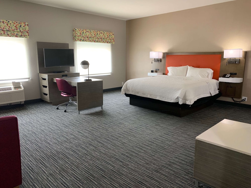 Suite, 1 King Bed, Non Smoking photo 2