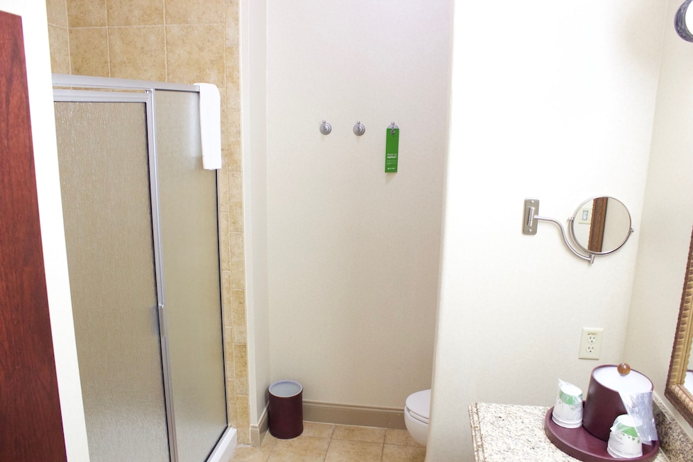 Room, 1 King Bed, Accessible - Photo 8