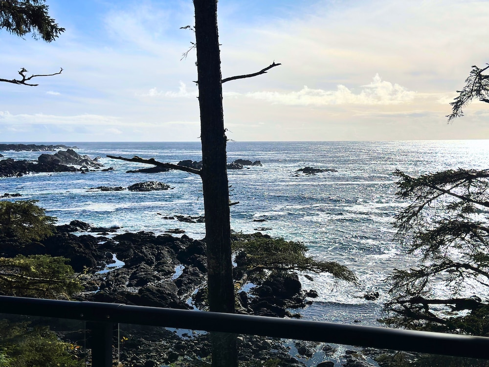 1 Bedroom Trail Ocean View Suite (short distance from main lodge) photo 1