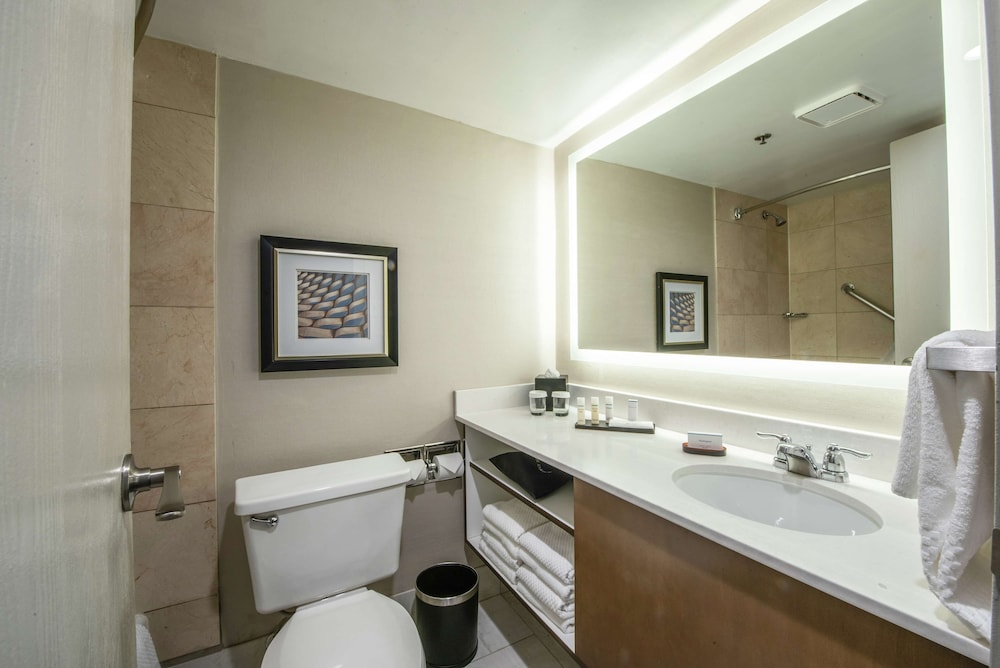 Executive Suite, 1 King Bed - Photo 6