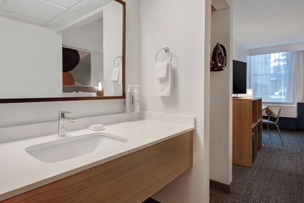 Room, 1 King Bed, Accessible (Roll-In Shower) - Photo 2