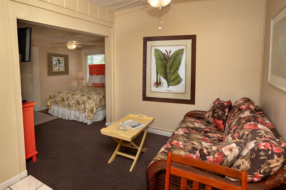 Bird of Paradise Suite photo 3