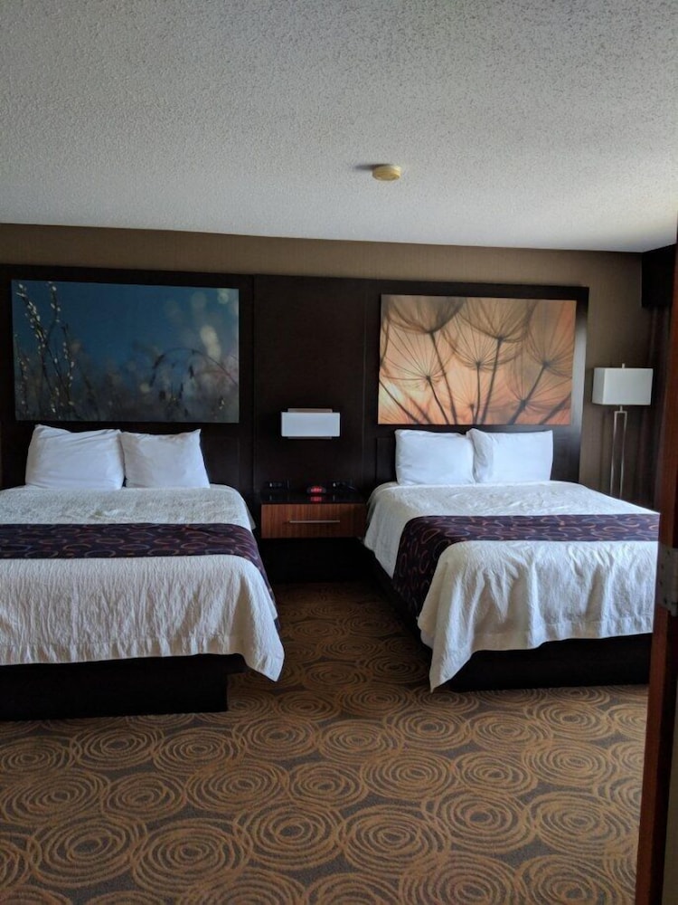 Double Queen Suite photo 3