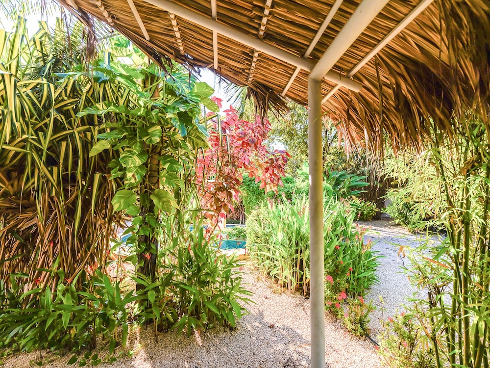 Family Bungalow, Ensuite, Garden View photo 2