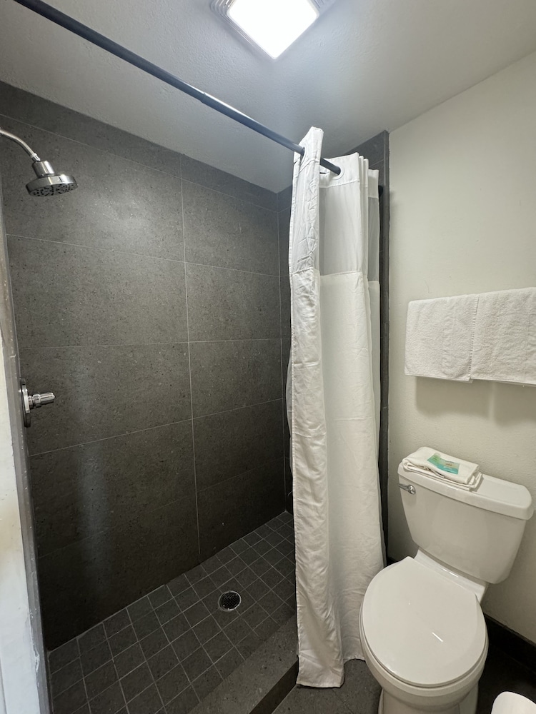 Basic Single Room photo 2