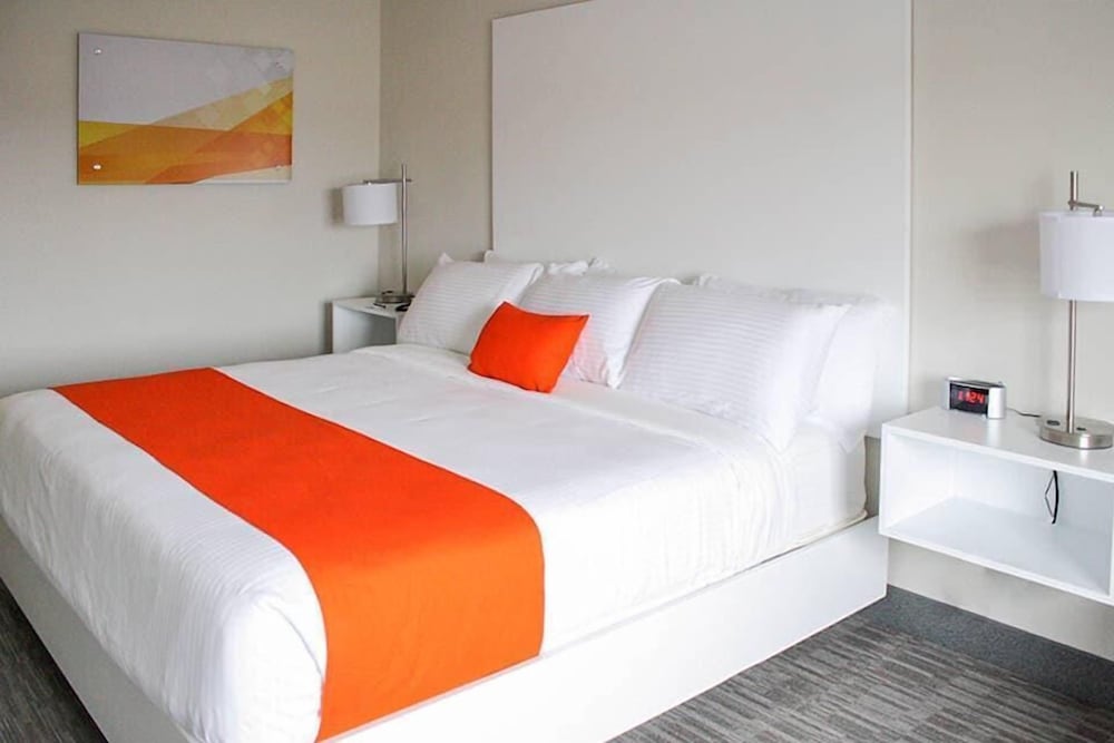 Standard Room, 1 King Bed, Non Smoking