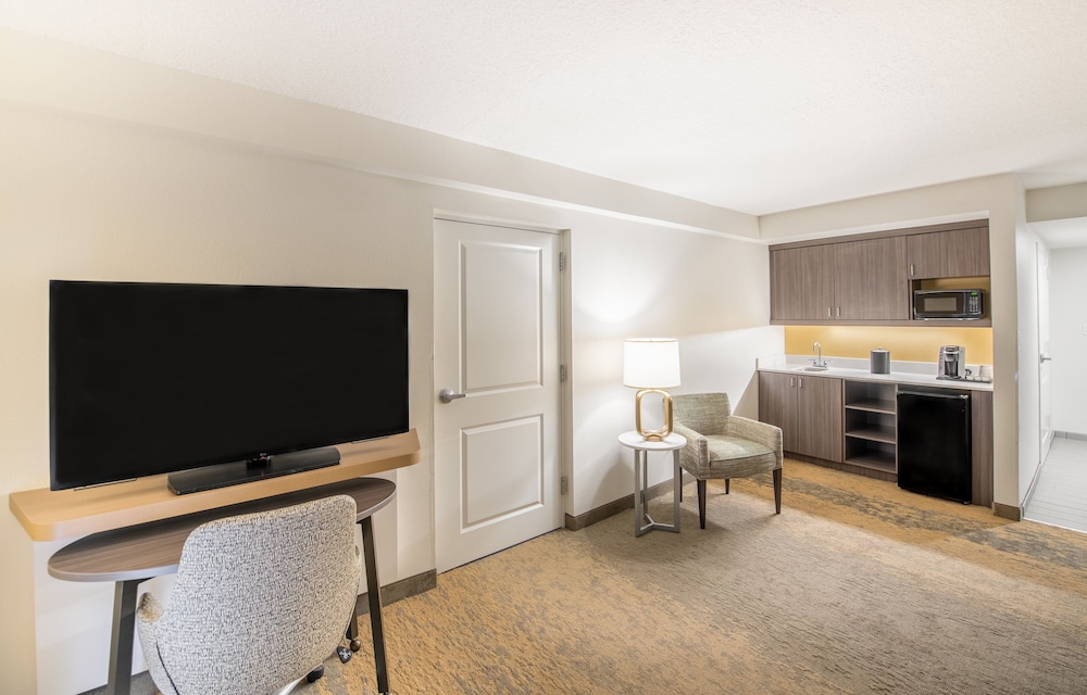 Suite, 1 Bedroom - Photo 2