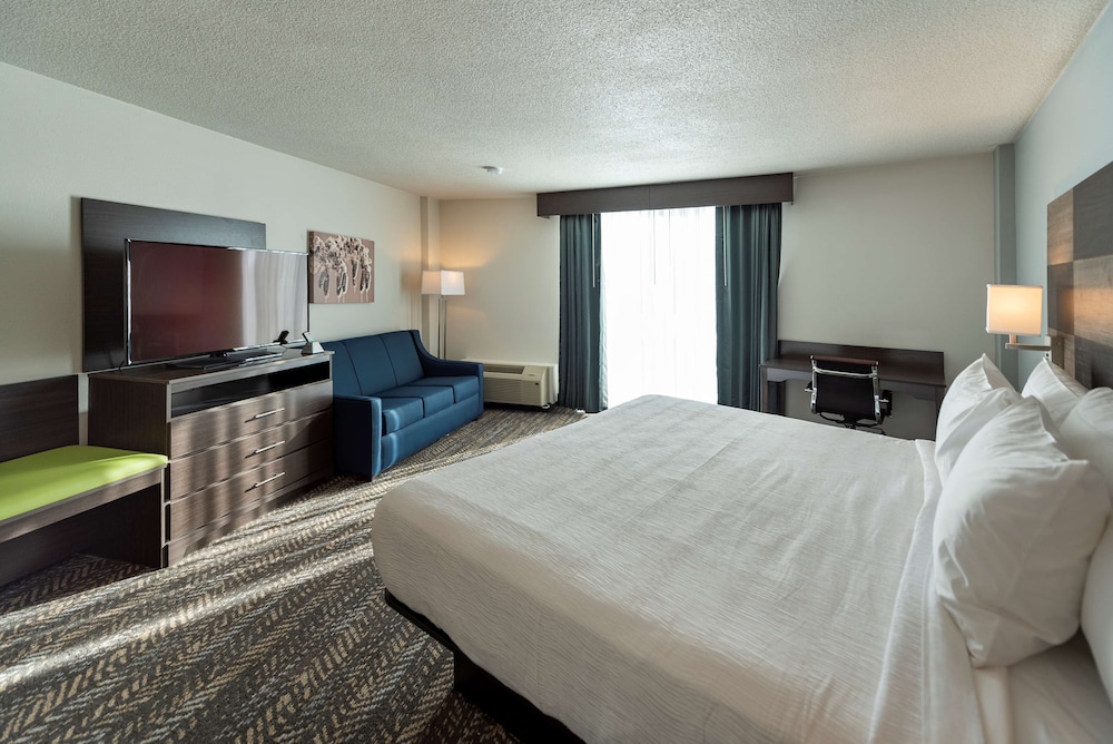 Standard Room, 1 King Bed, Non Smoking (Walk-in Shower;with Sofabed) - Photo 1