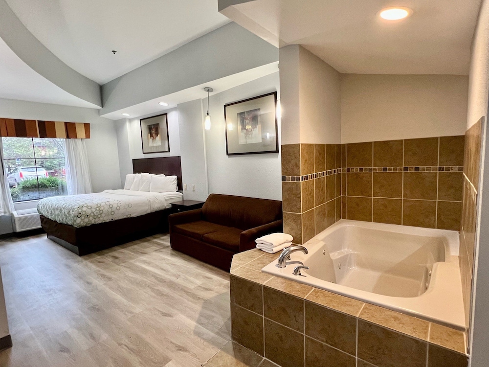Studio, 1 King Bed, Non Smoking, Jetted Tub - Photo 4