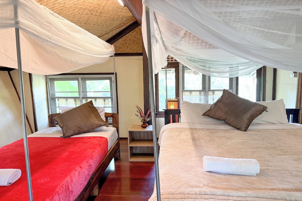 Premier Twin Room photo 1
