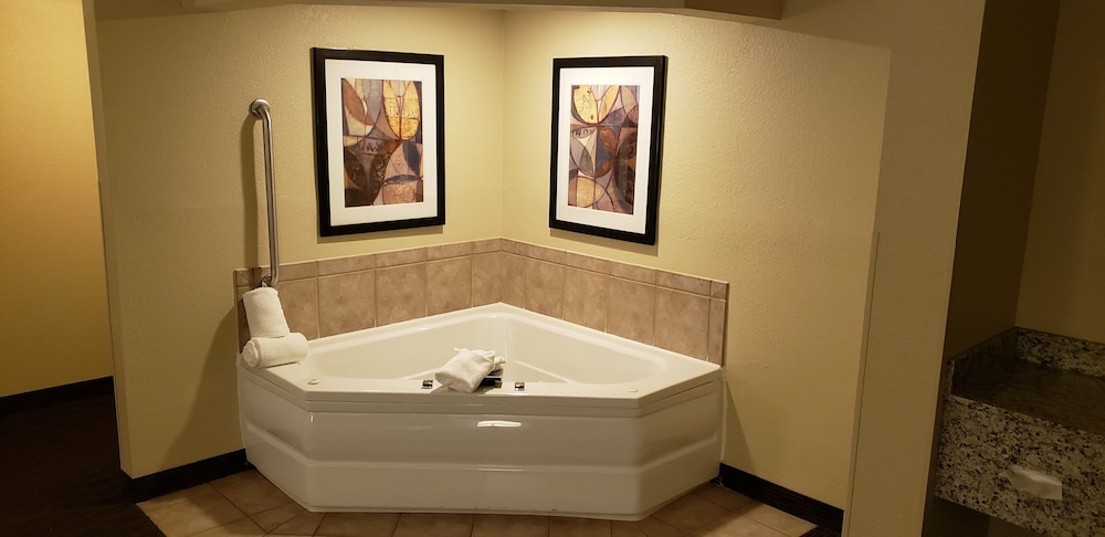 Premier Suite, 1 King Bed, Non Smoking (One-Bedroom Suite) - Photo 8