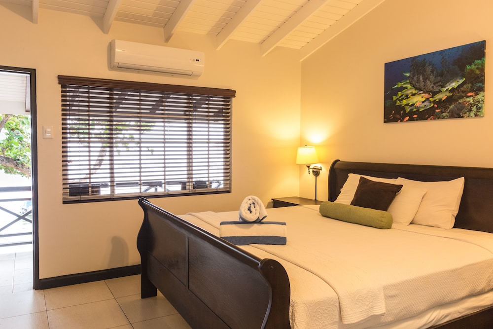 Standard Room, 1 King Bed, Beachfront
