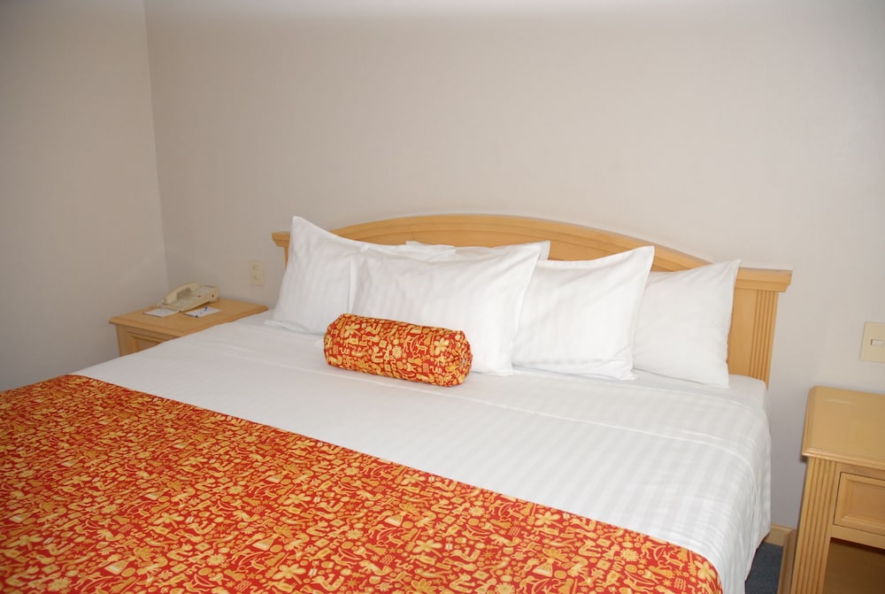 Room (Cama King) - Photo 9