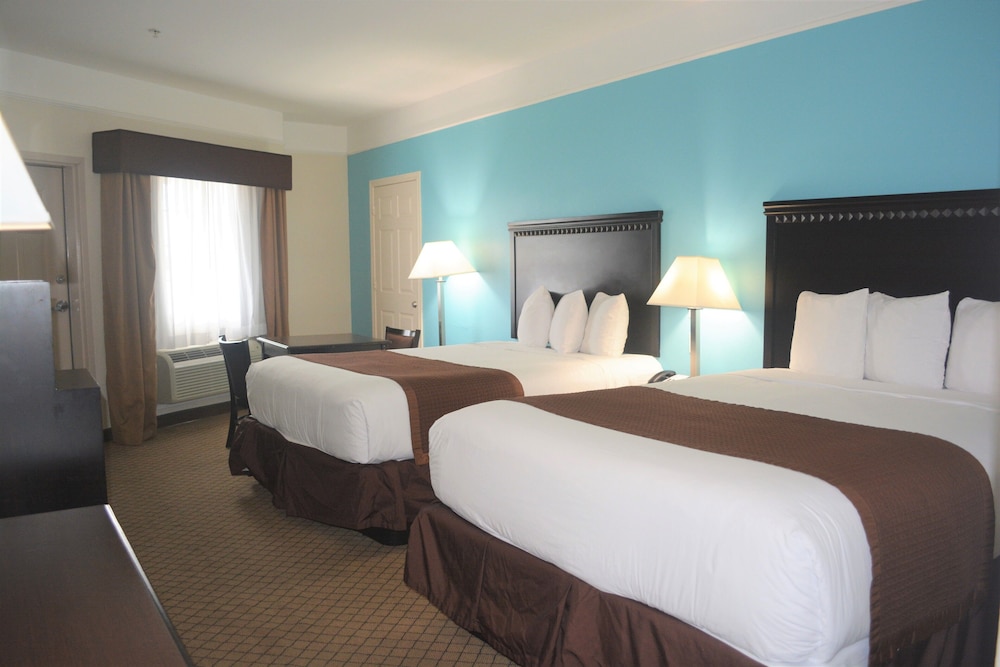 Suite - Photo 5