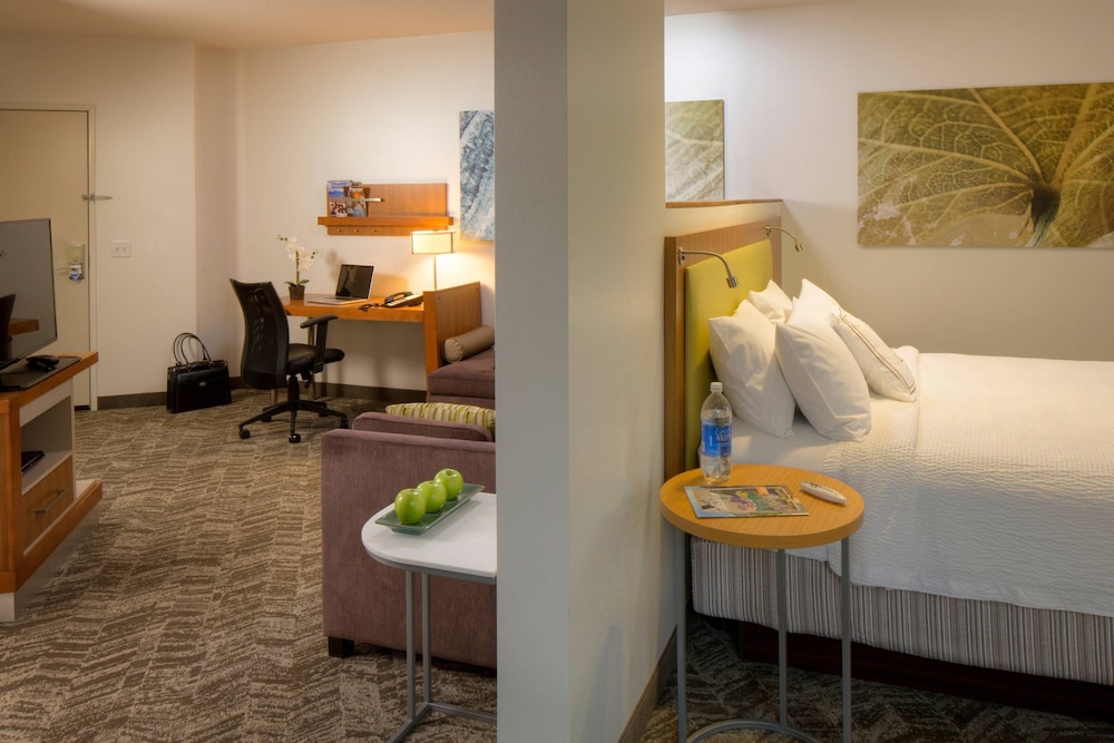 Executive Suite, 1 King Bed with Sofa bed photo 1