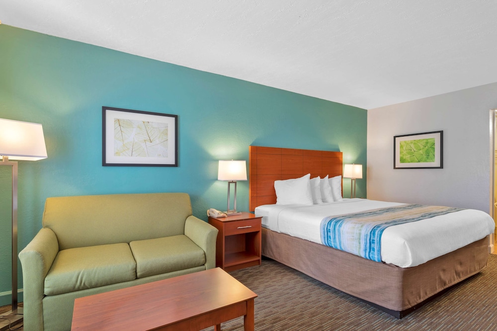 Standard Room, 1 King Bed, Accessible, Refrigerator & Microwave - Photo 5