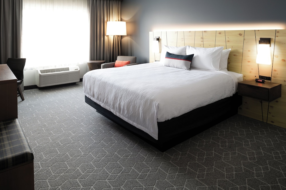 Suite, 1 King Bed, Accessible (Track View, Roll-In Shower) - Photo 1
