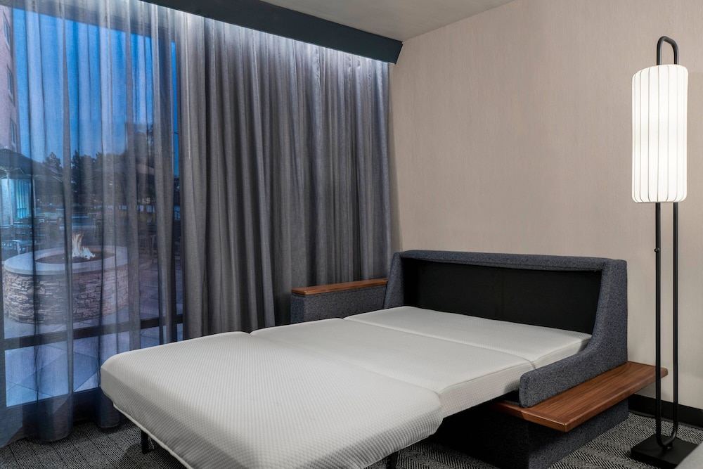 Suite, 1 King Bed with Sofa bed photo 1