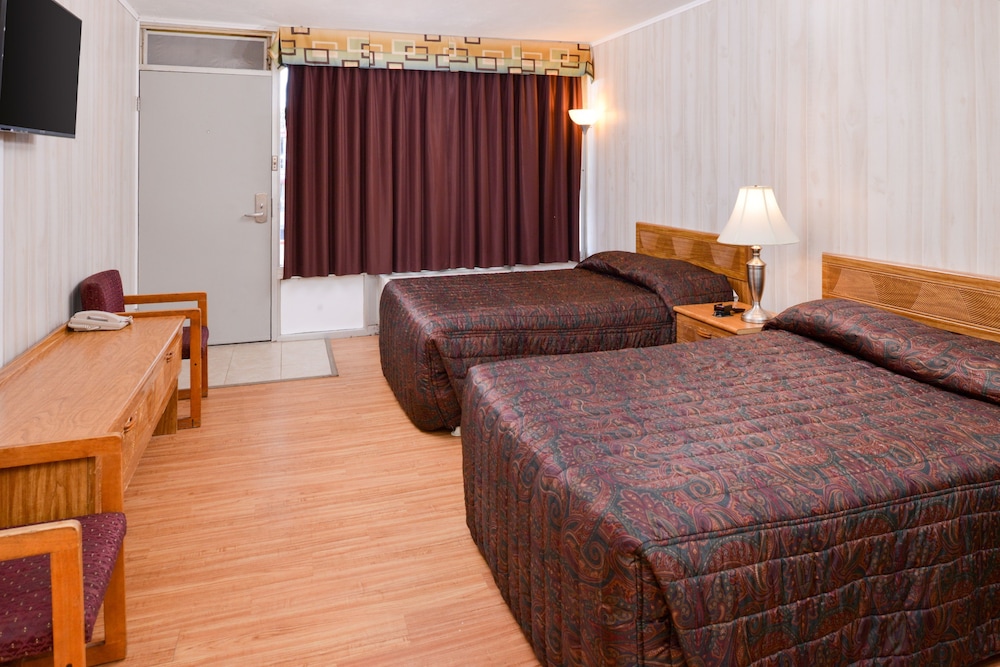 Double Room, Refrigerator & Microwave photo 3