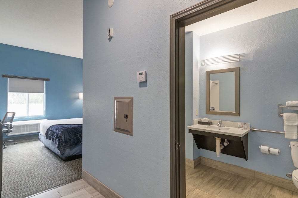 Single Room photo 3