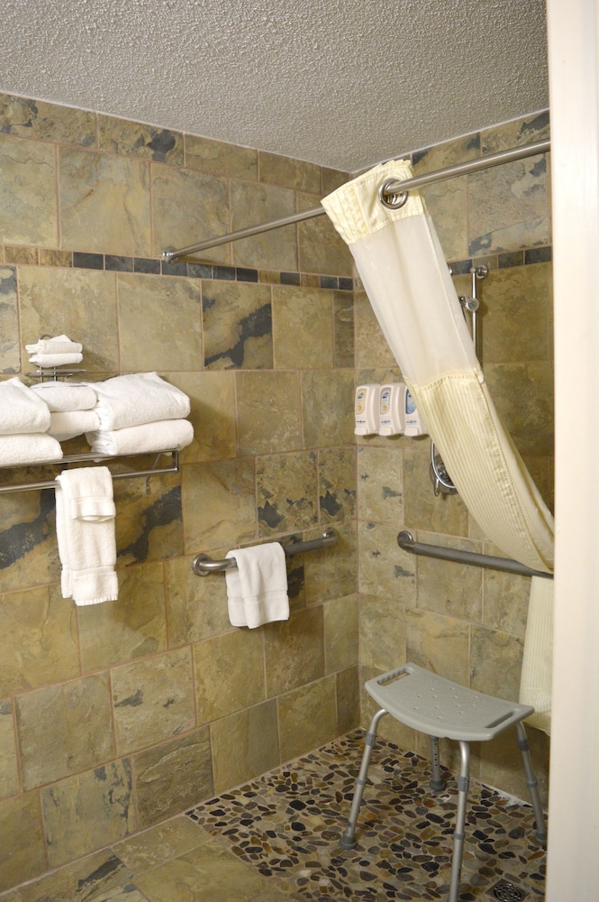 Room, 1 King Bed, Accessible (Stardust) photo 2