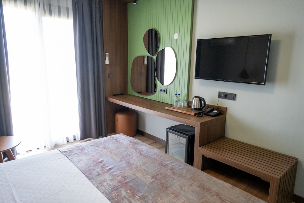 Deluxe Double or Twin Room photo 2