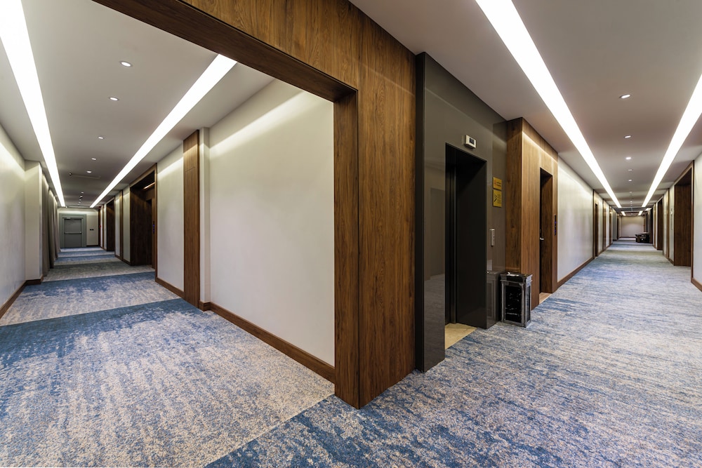 Executive Suite, 1 Bedroom - Photo 5