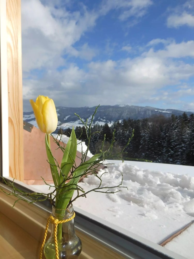 Apartment (Ifenblick) photo 2