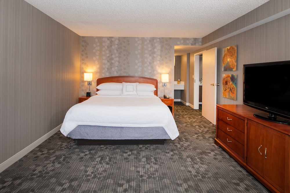 Suite, 1 King Bed with Sofa bed - Photo 4