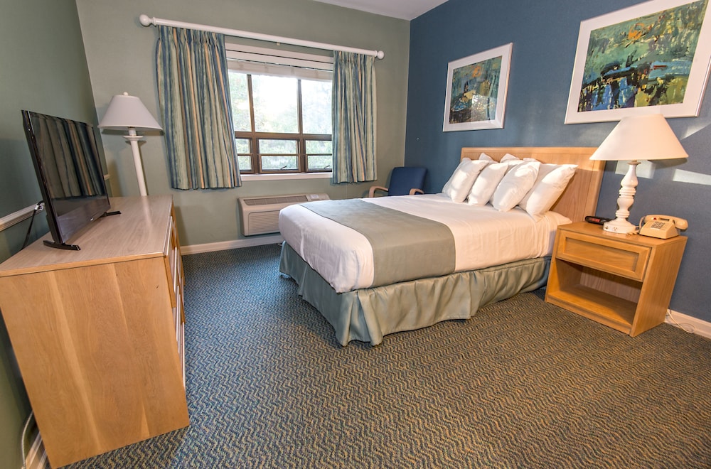 Standard Room, Accessible photo 1