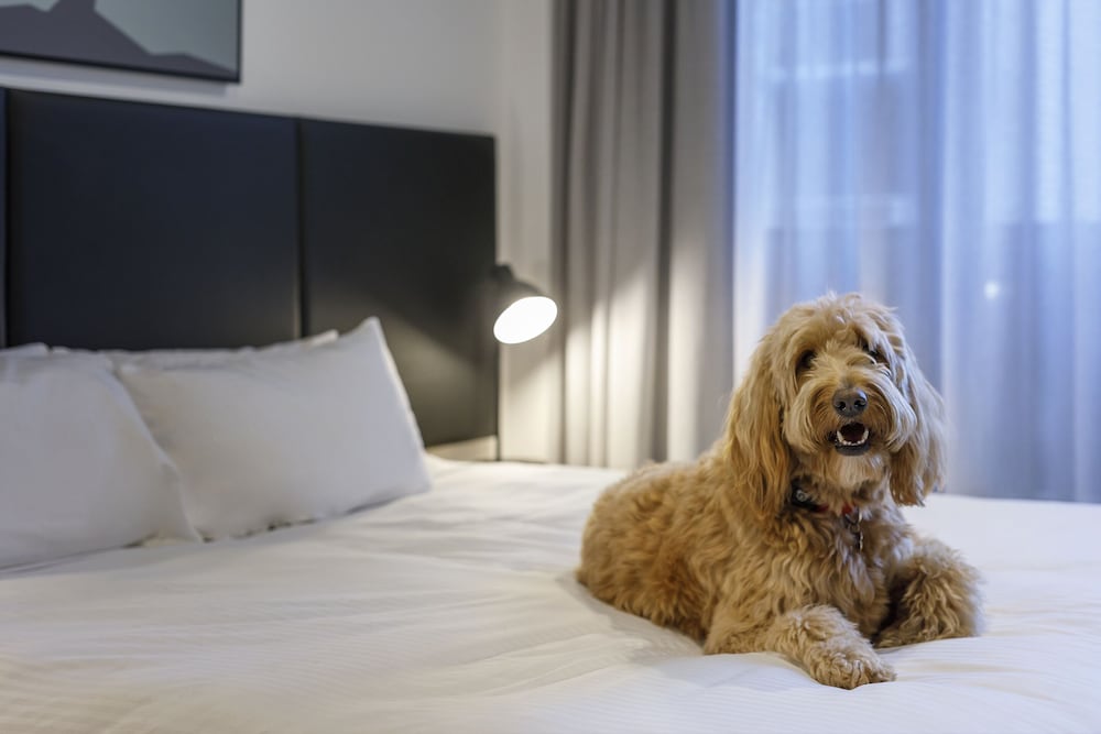 Two Bedroom Pet Friendly